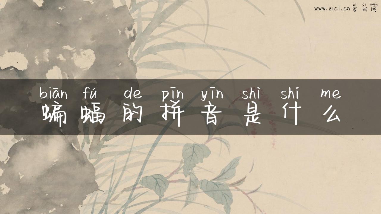蝙蝠的拼音是什么