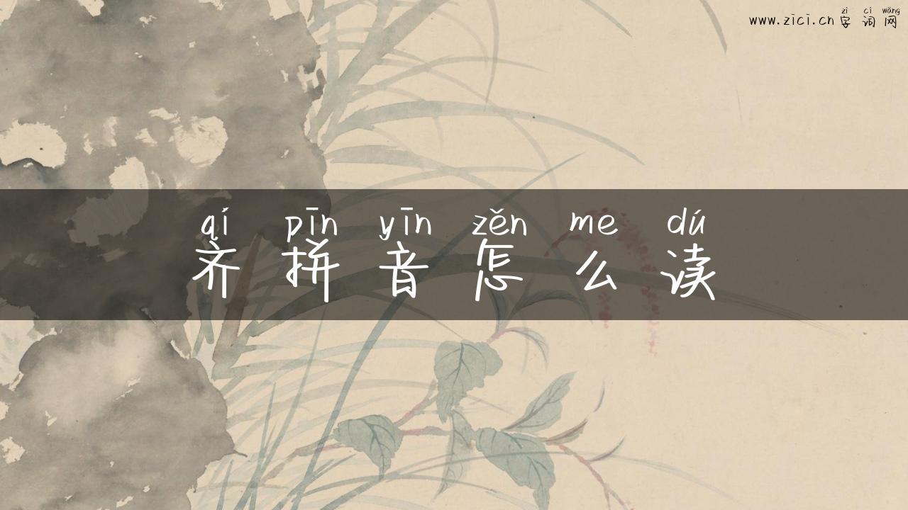 齐拼音怎么读