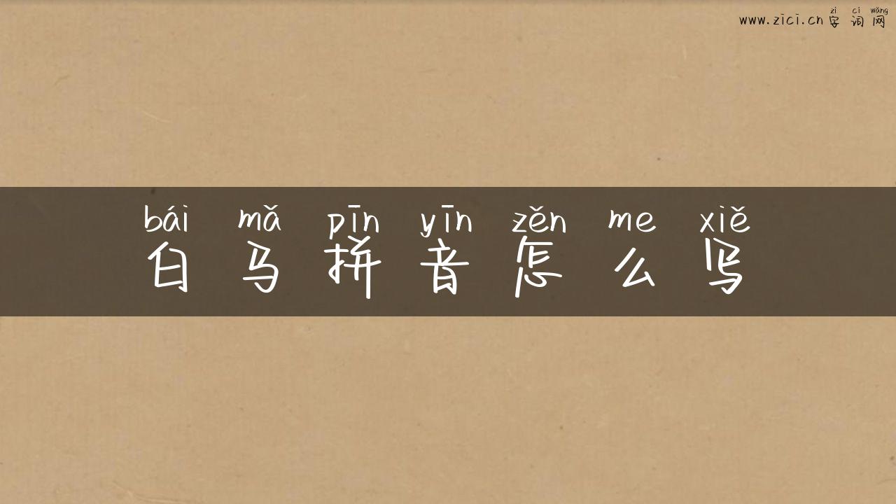 白马拼音怎么写