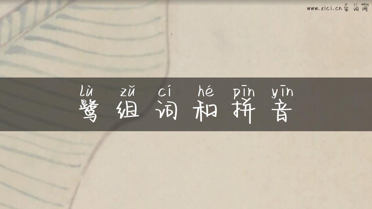 鹭组词和拼音
