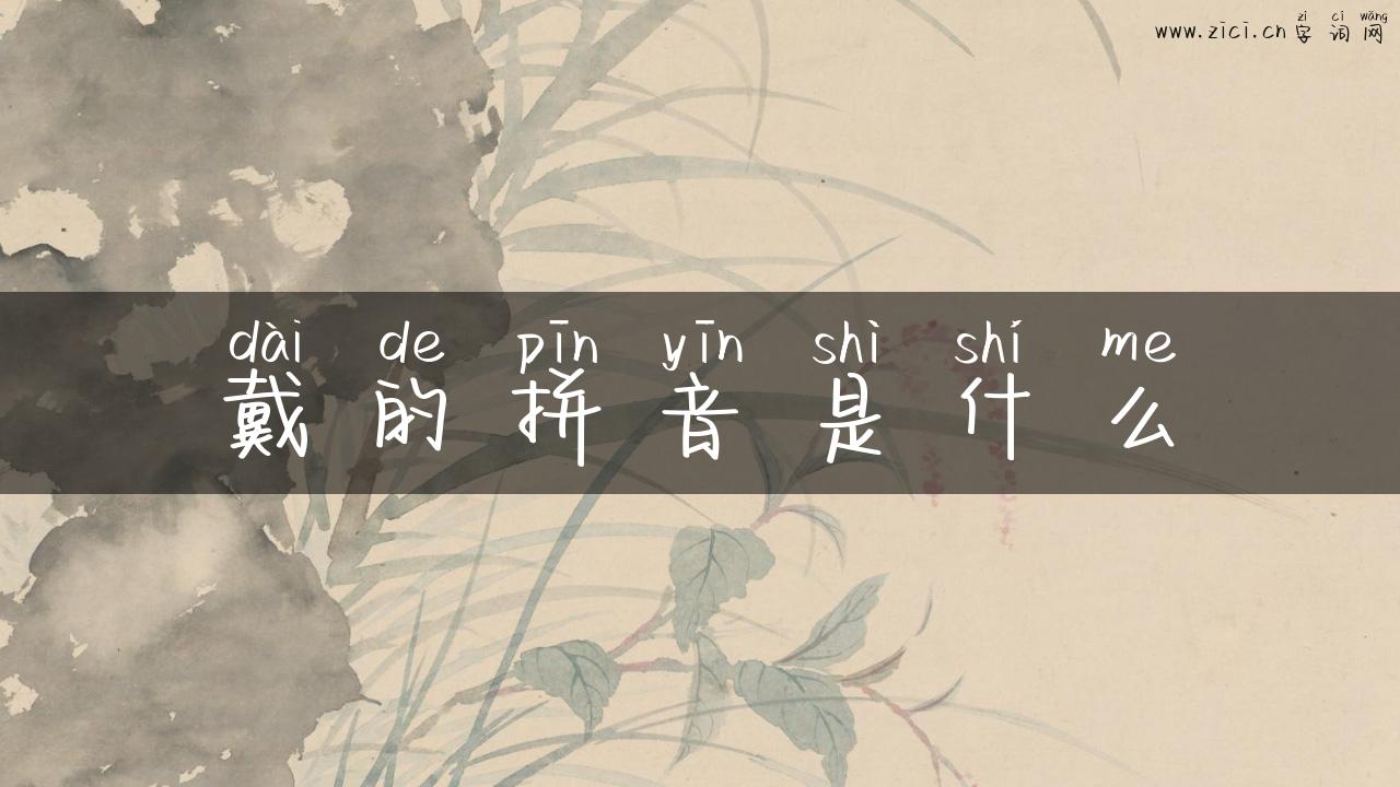 戴的拼音是什么