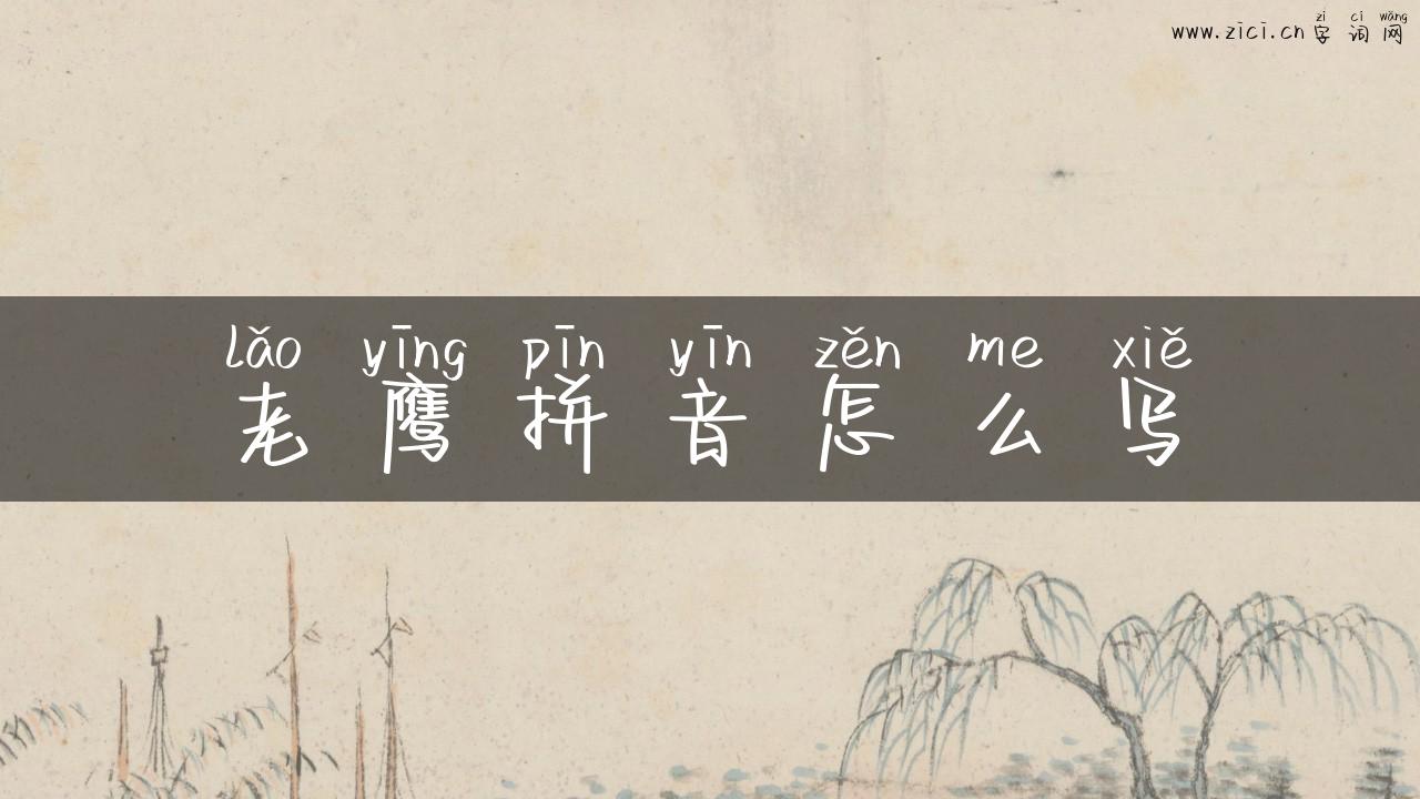 老鹰拼音怎么写