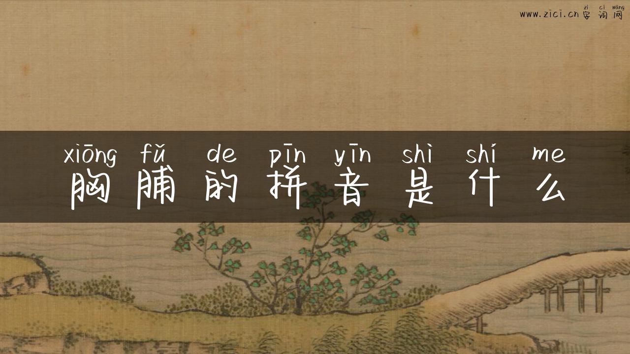 胸脯的拼音是什么