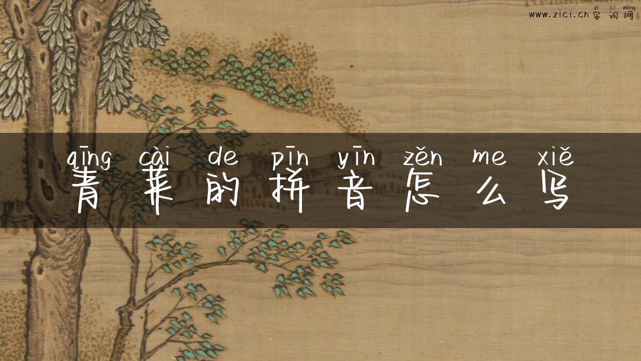 青菜的拼音怎么写