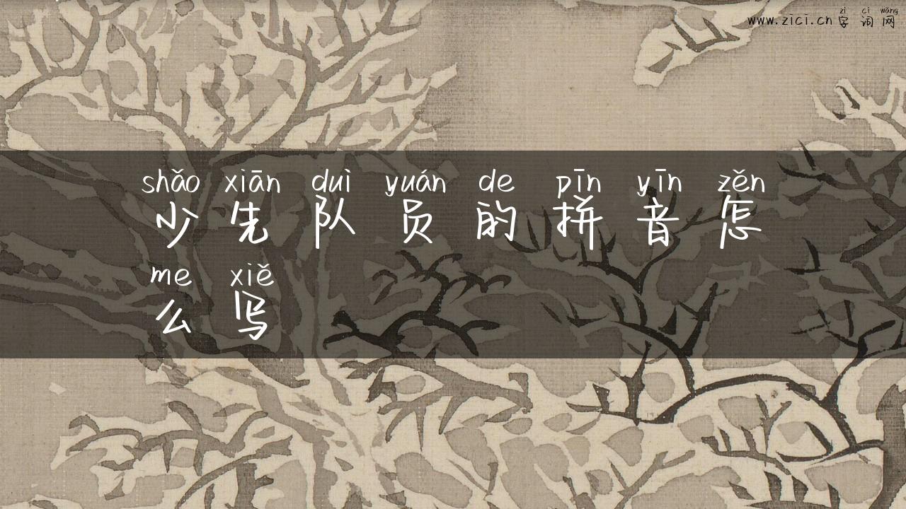 少先队员的拼音怎么写