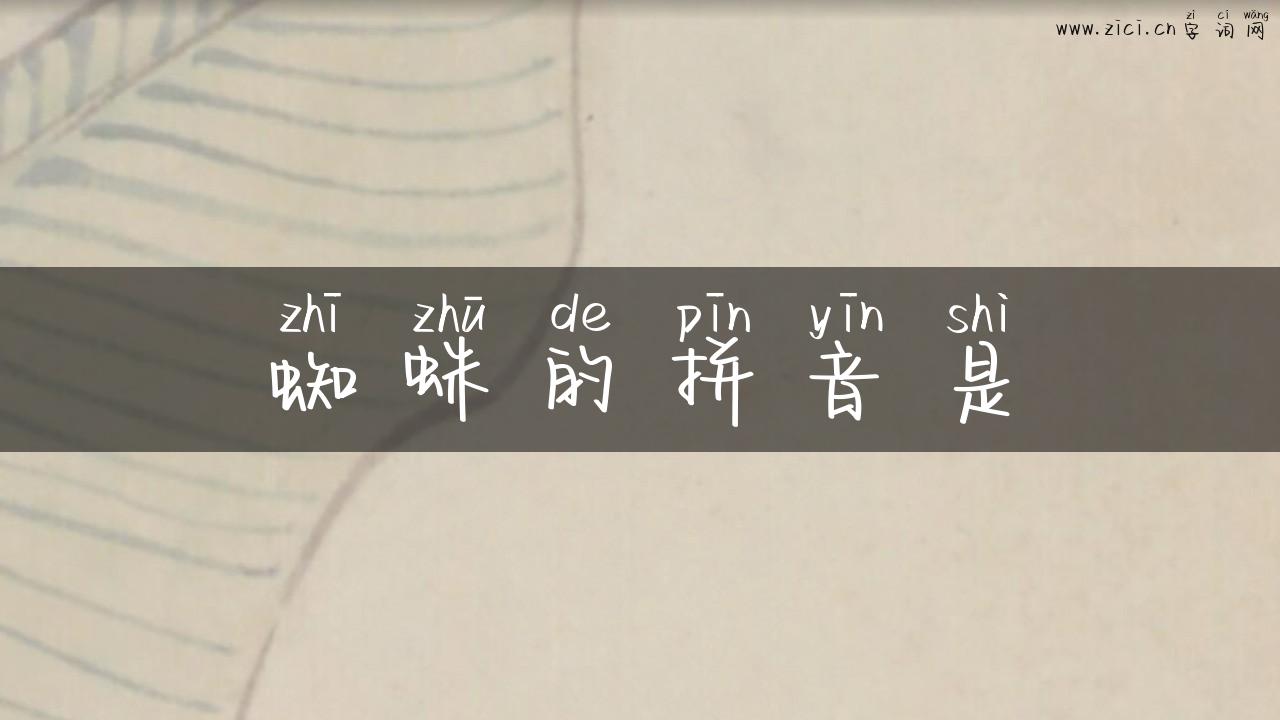 蜘蛛的拼音是