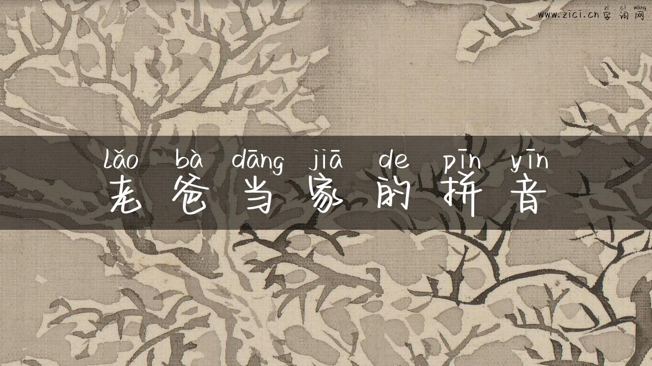 老爸当家的拼音