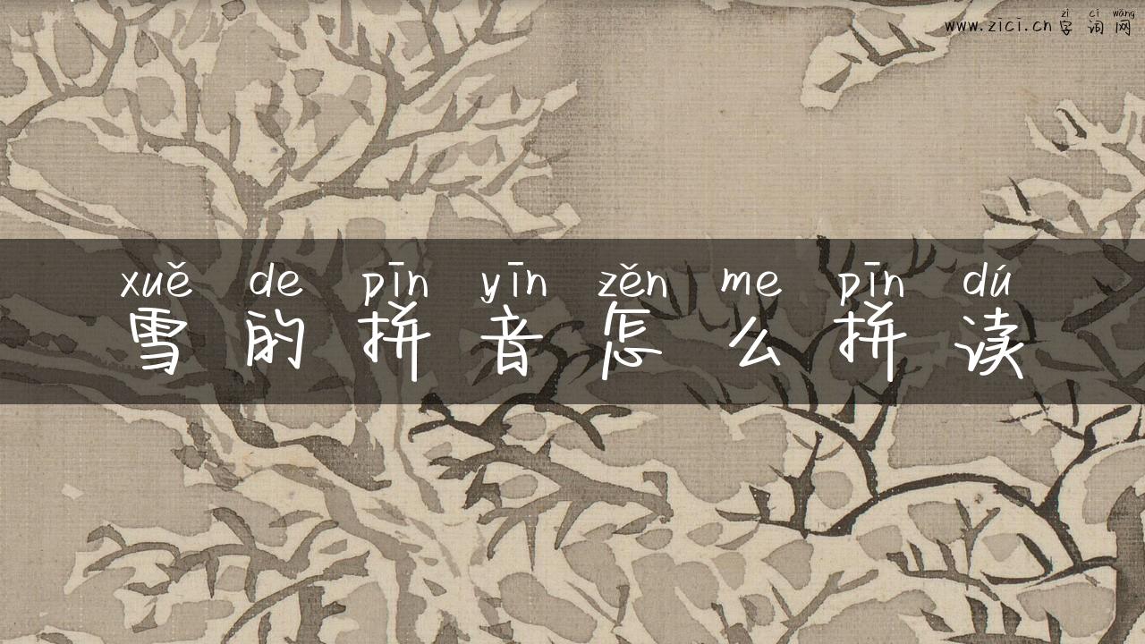 雪的拼音怎么拼读