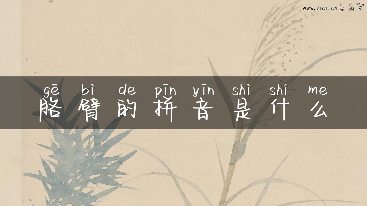 胳臂的拼音是什么