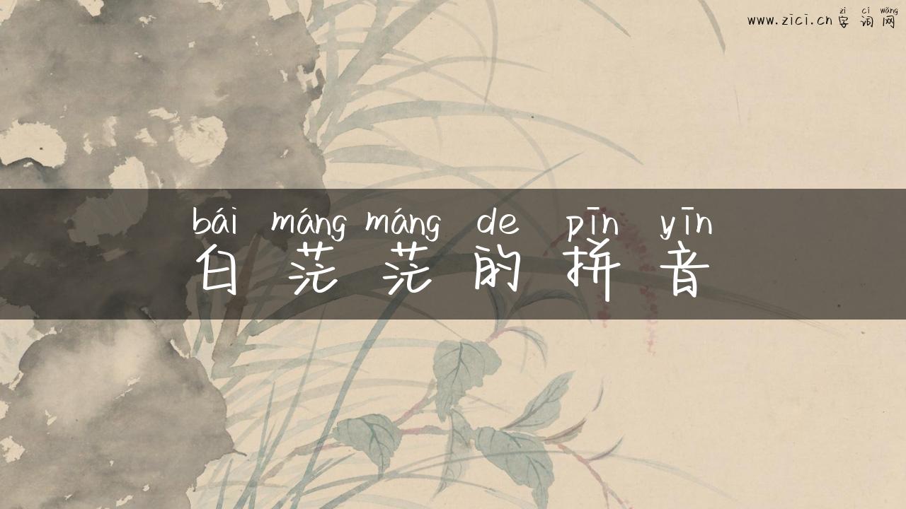 白茫茫的拼音