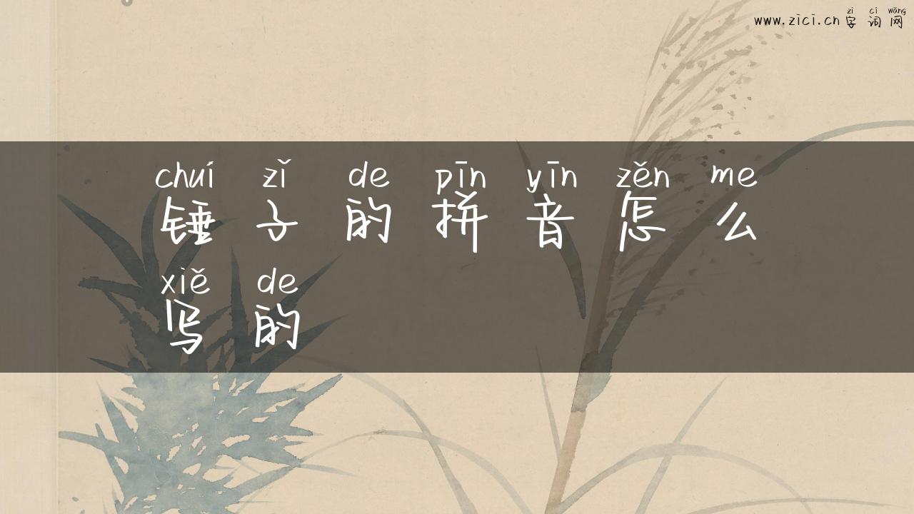 锤子的拼音怎么写的