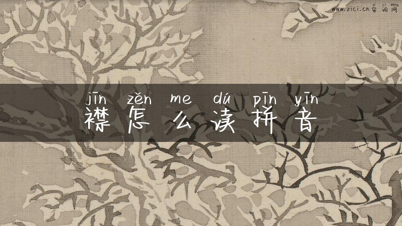 襟怎么读拼音
