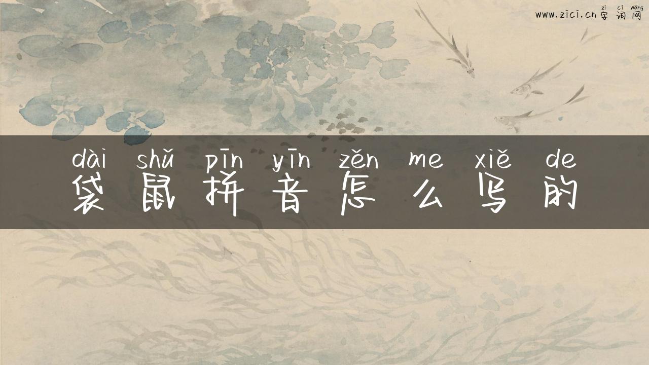 袋鼠拼音怎么写的