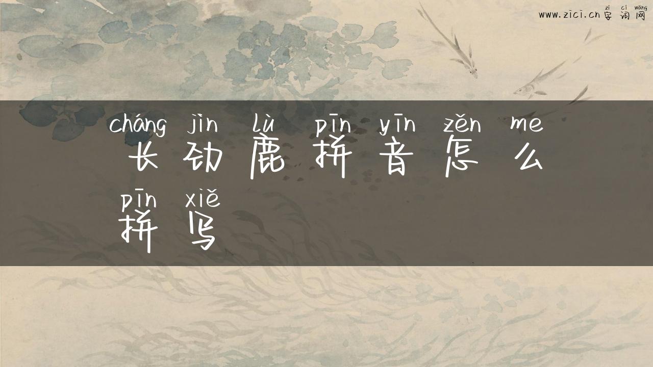 长劲鹿拼音怎么拼写
