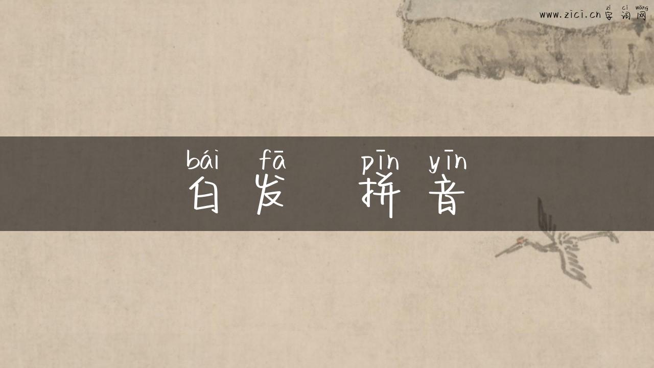 白发  拼音
