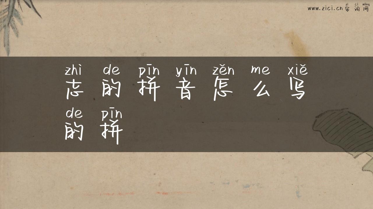 志的拼音怎么写的拼