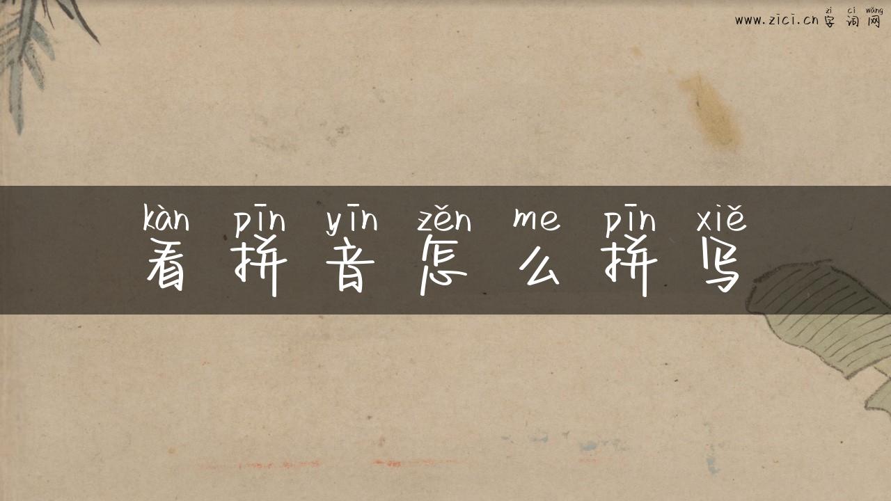 看拼音怎么拼写