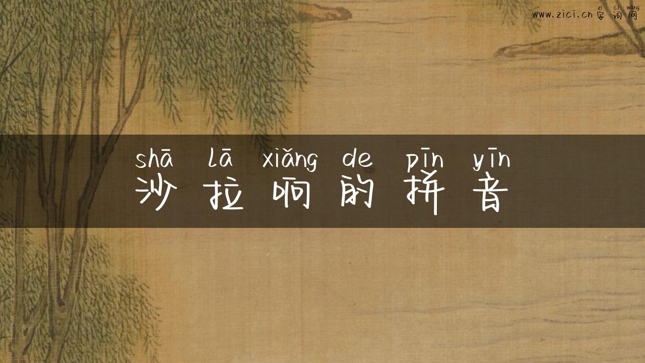 沙拉响的拼音