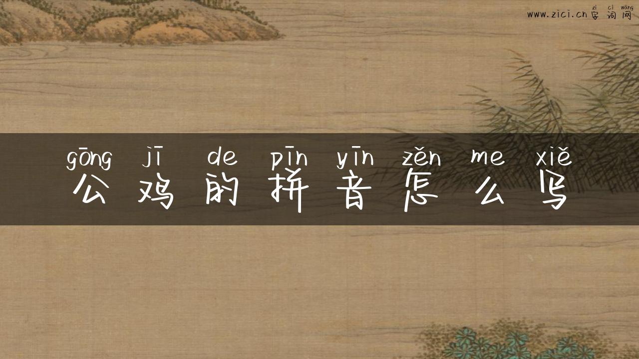 公鸡的拼音怎么写