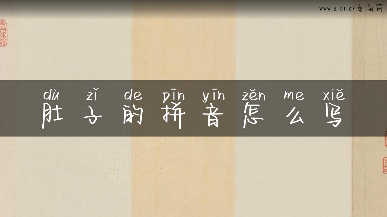 肚子的拼音怎么写