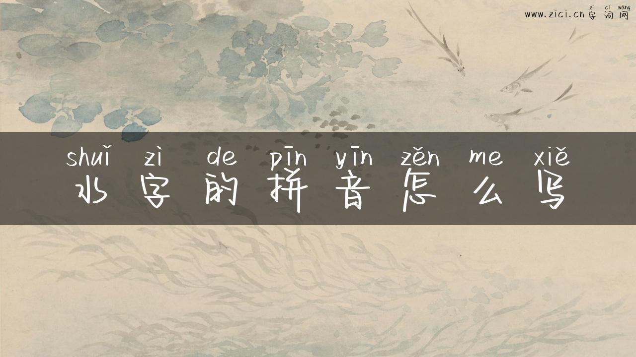 水字的拼音怎么写