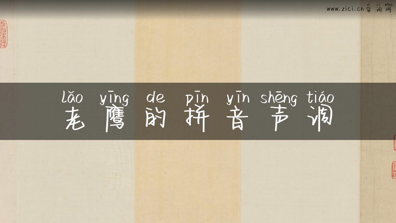 老鹰的拼音声调