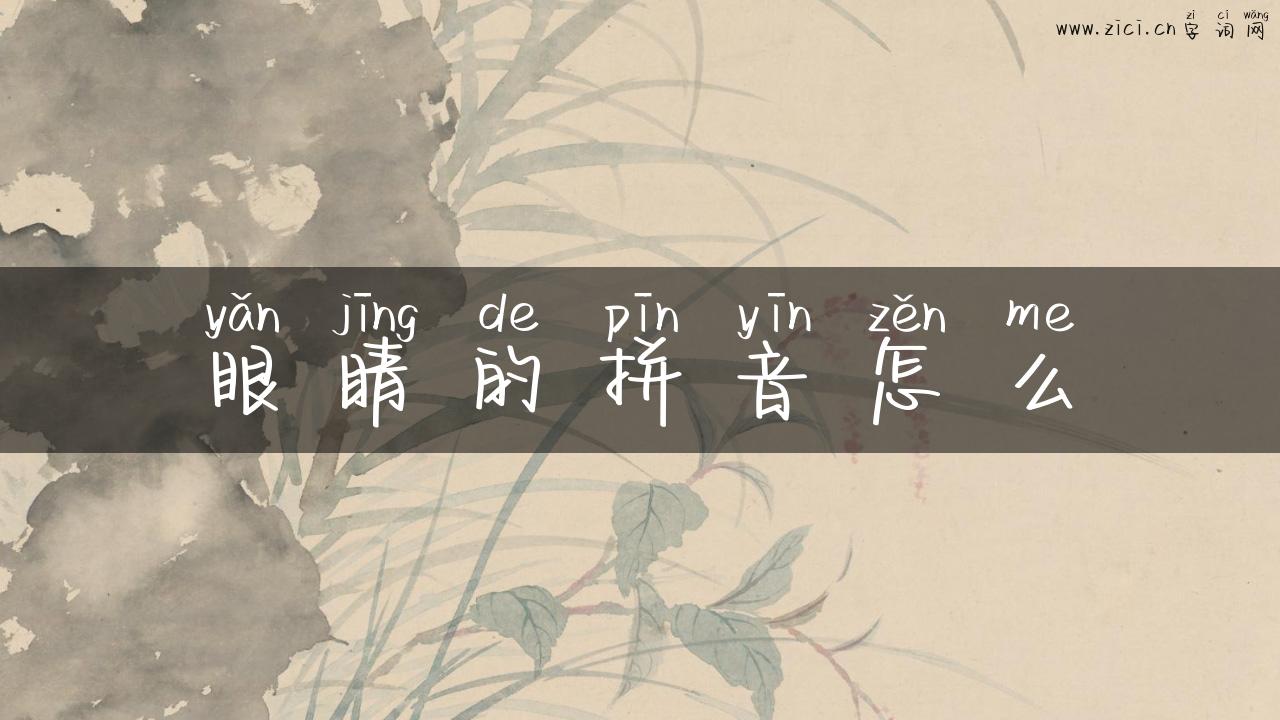 眼睛的拼音怎么