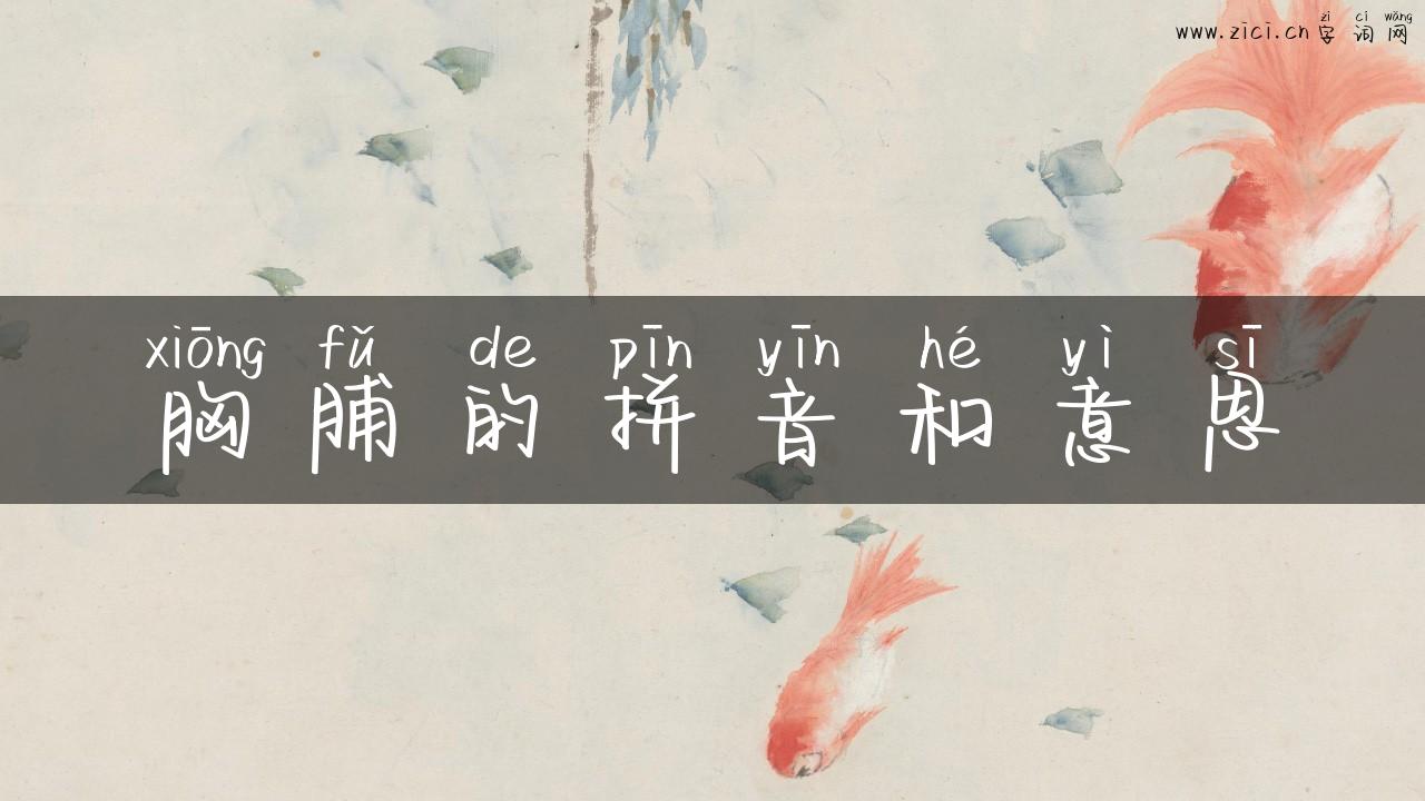 胸脯的拼音和意思