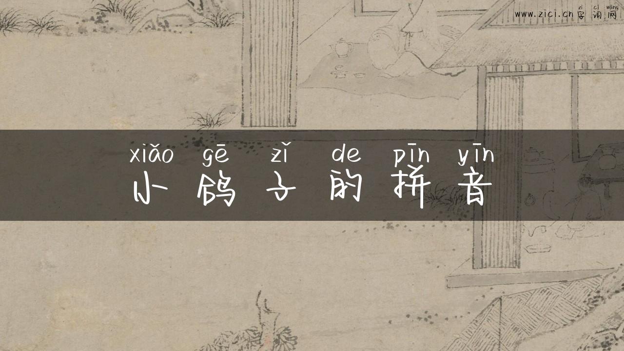 小鸽子的拼音