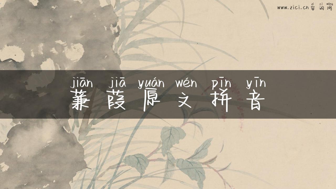 蒹葭原文拼音