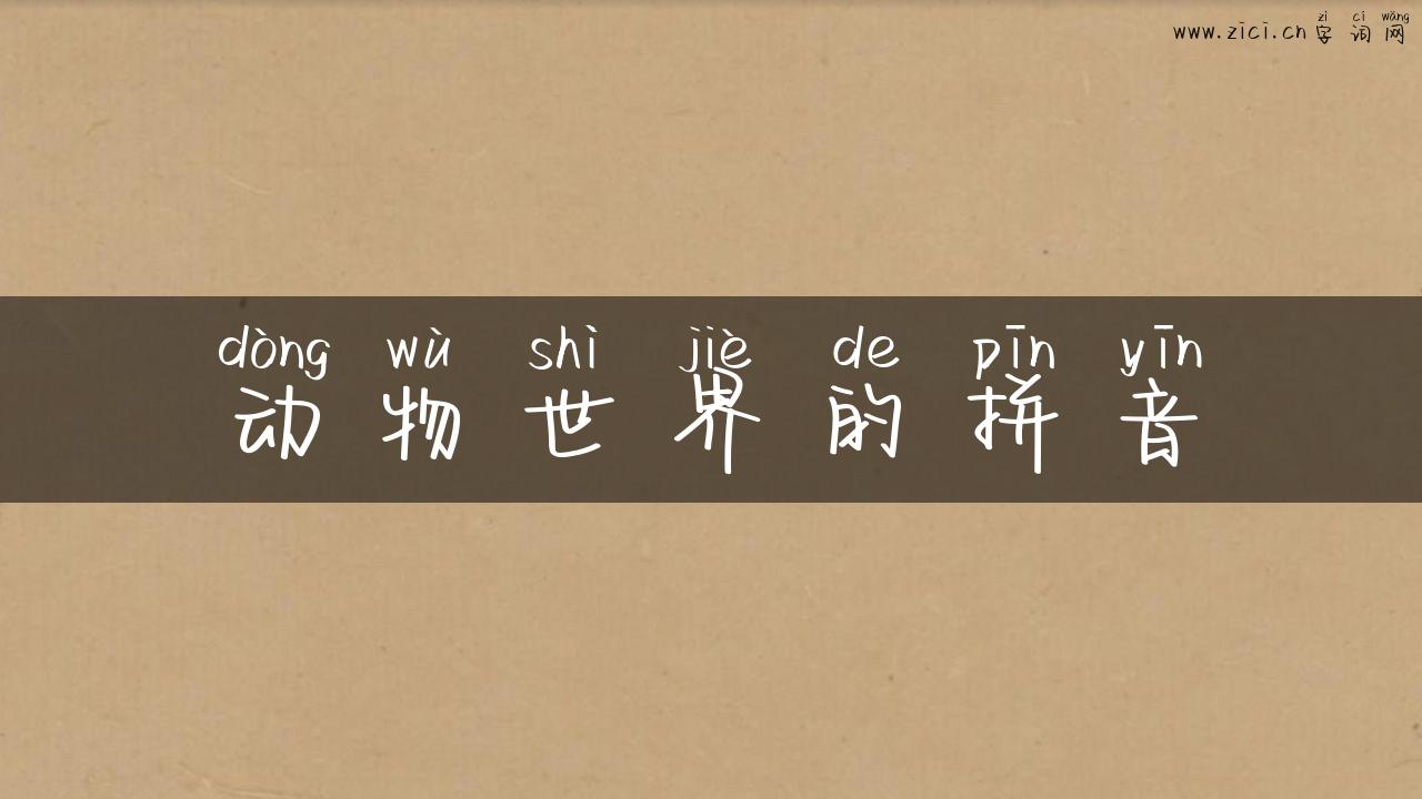 动物世界的拼音