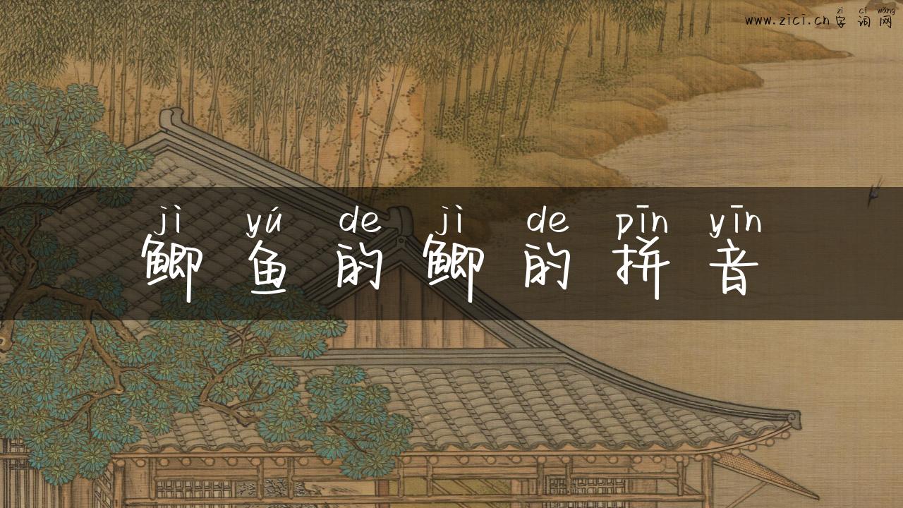 鲫鱼的鲫的拼音