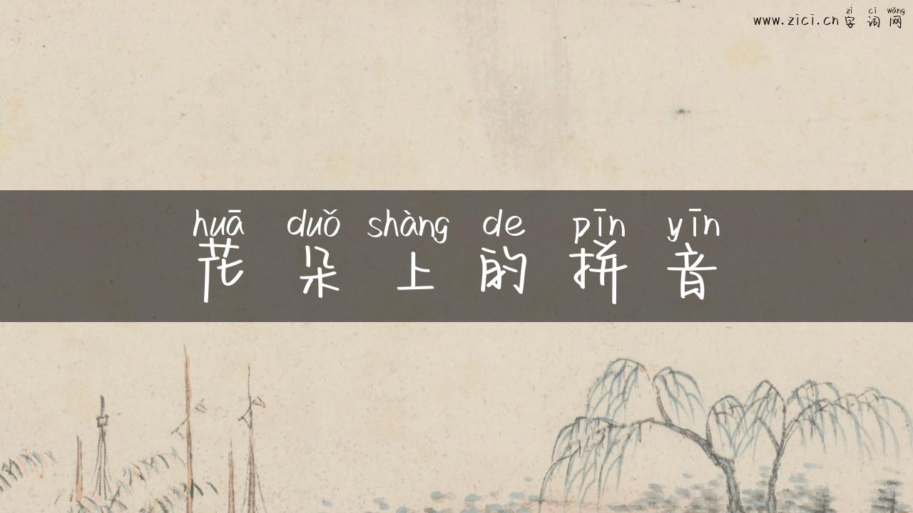 花朵上的拼音