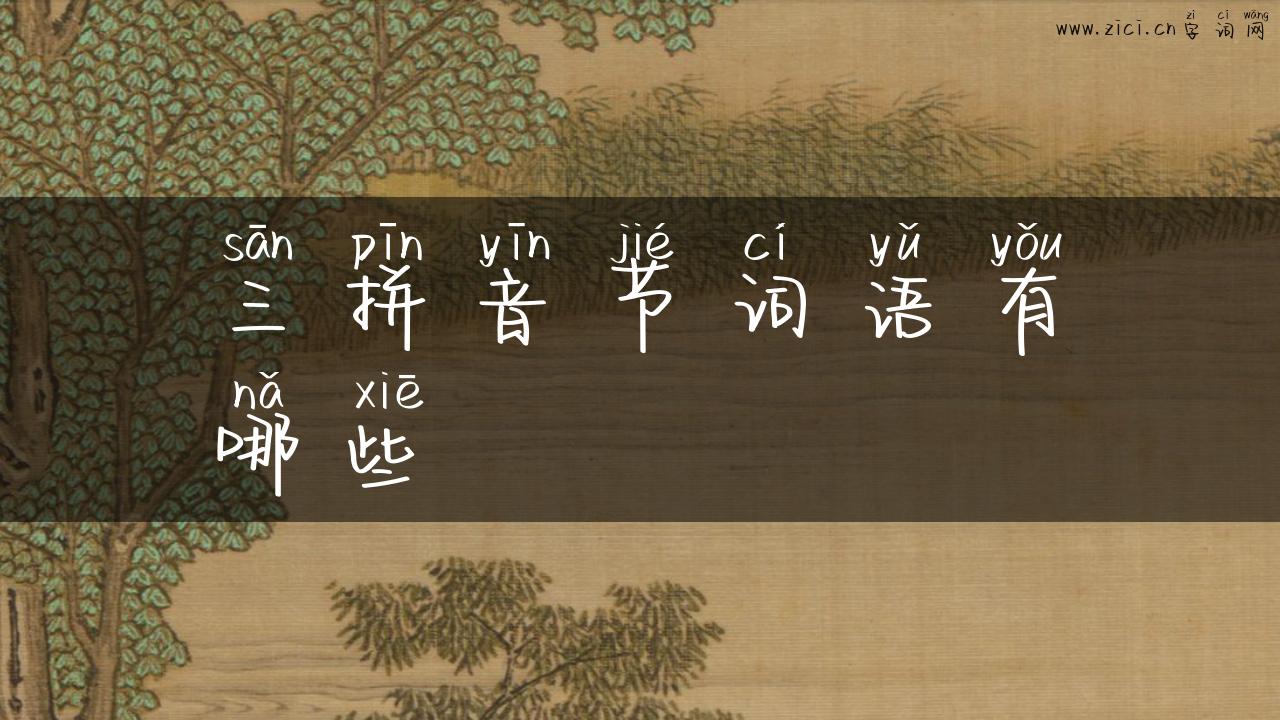 三拼音节词语有哪些