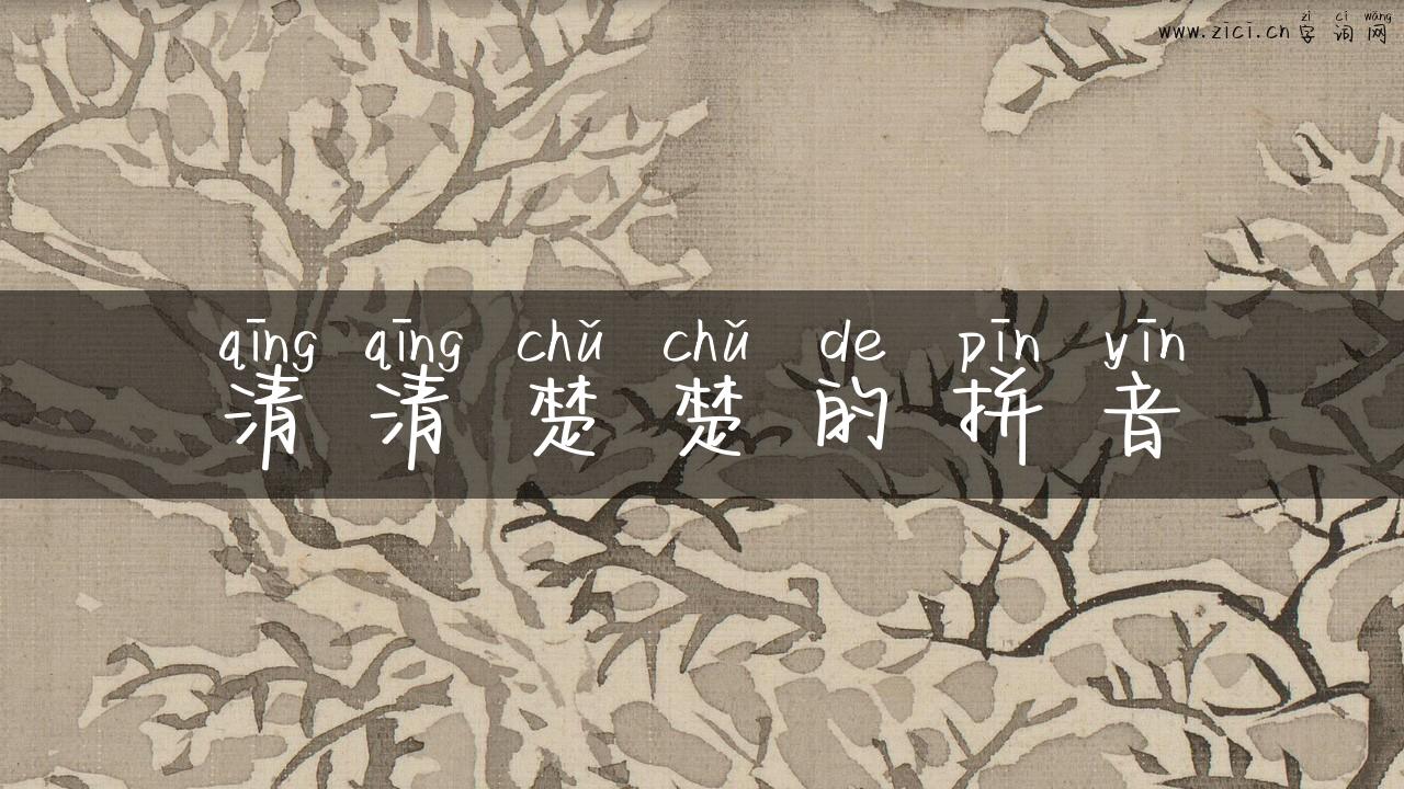 清清楚楚的拼音
