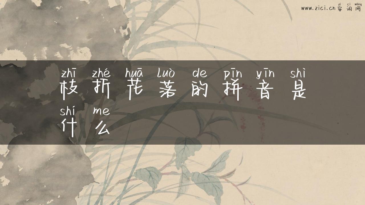 枝折花落的拼音是什么