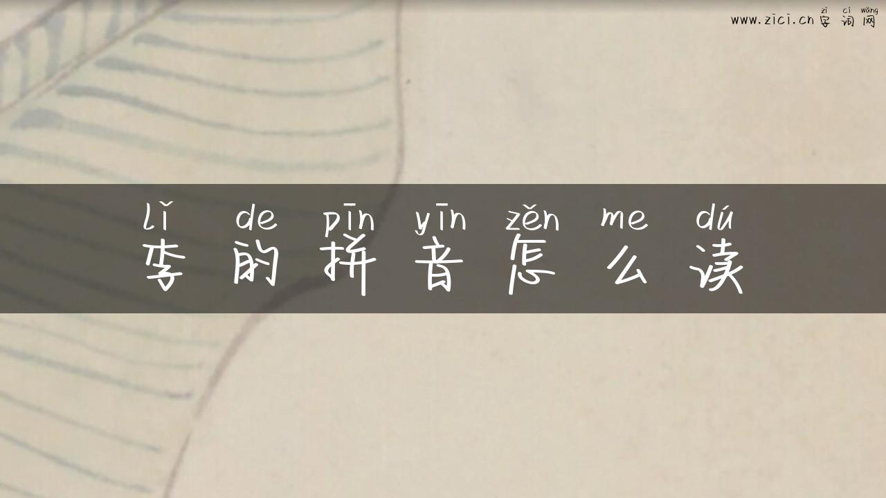 李的拼音怎么读