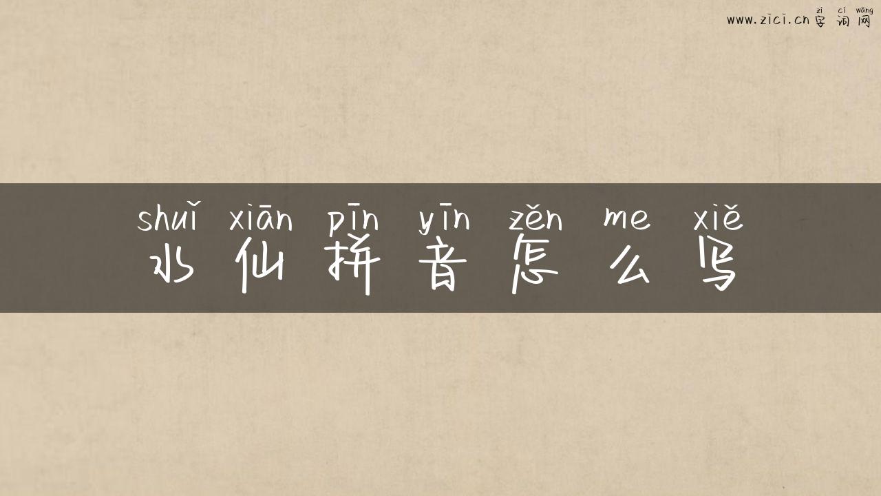 水仙拼音怎么写