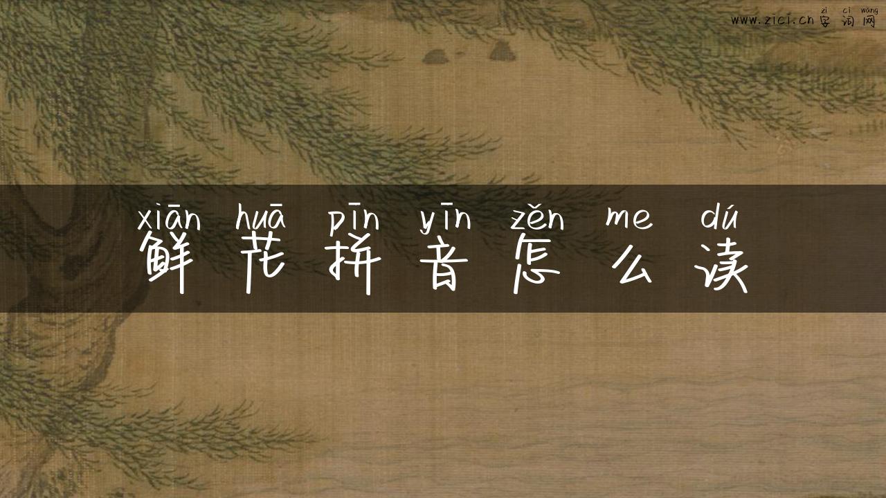 鲜花拼音怎么读