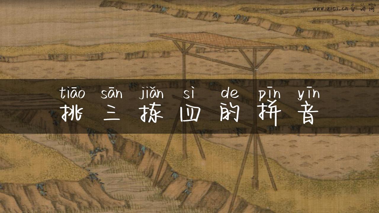 挑三拣四的拼音
