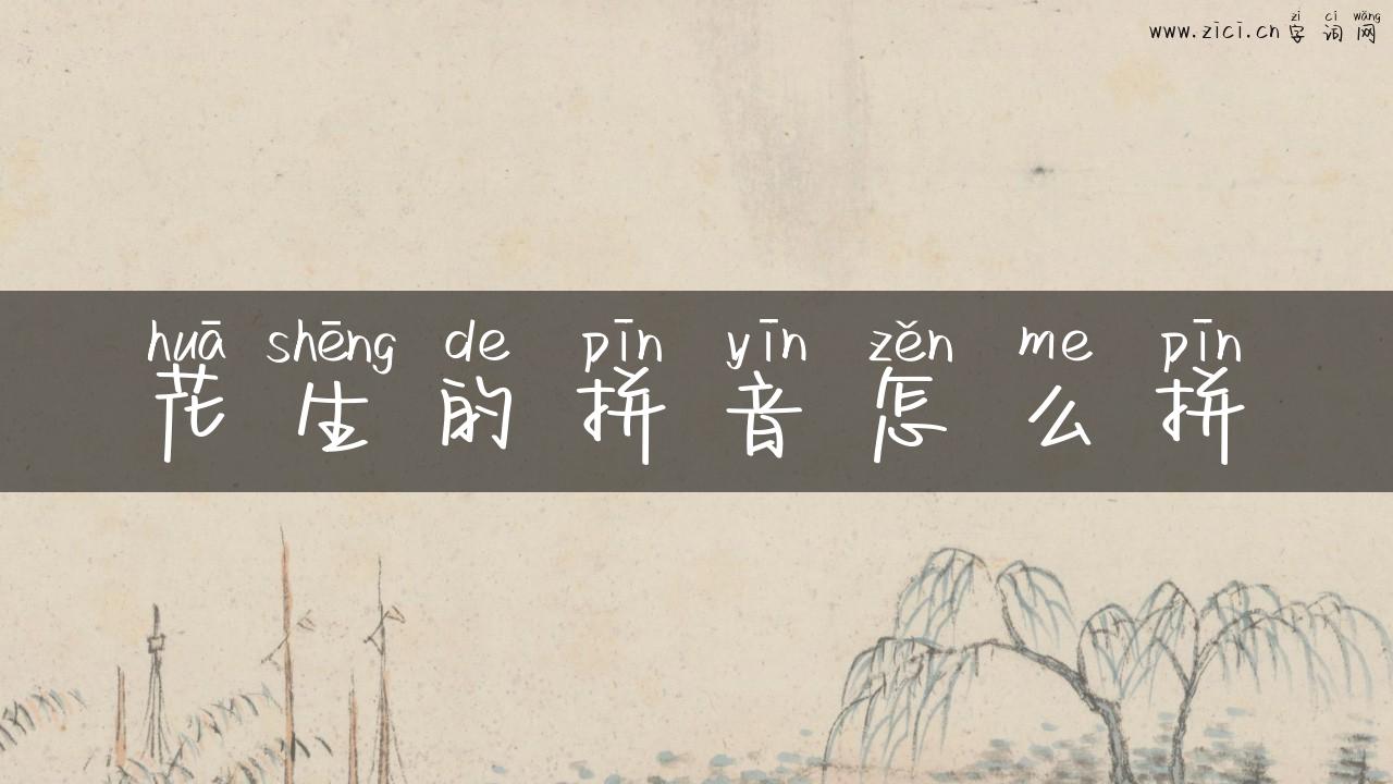 花生的拼音怎么拼
