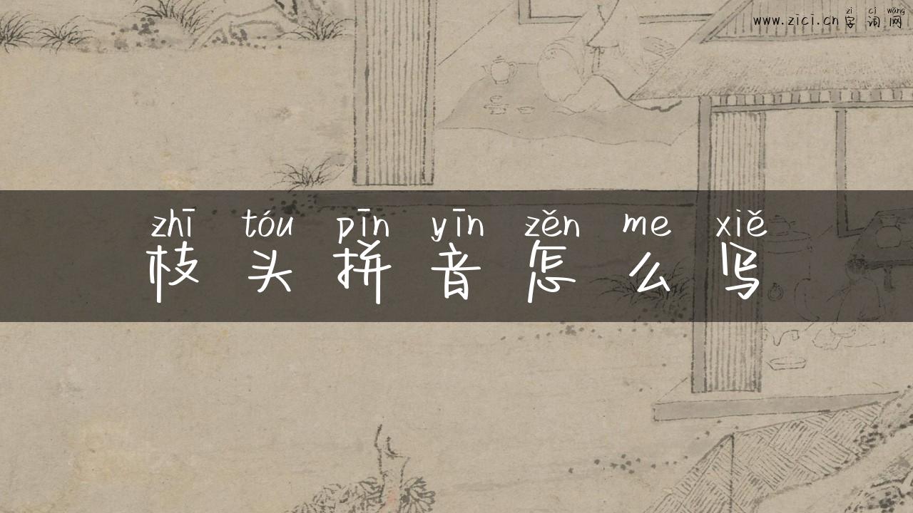 枝头拼音怎么写