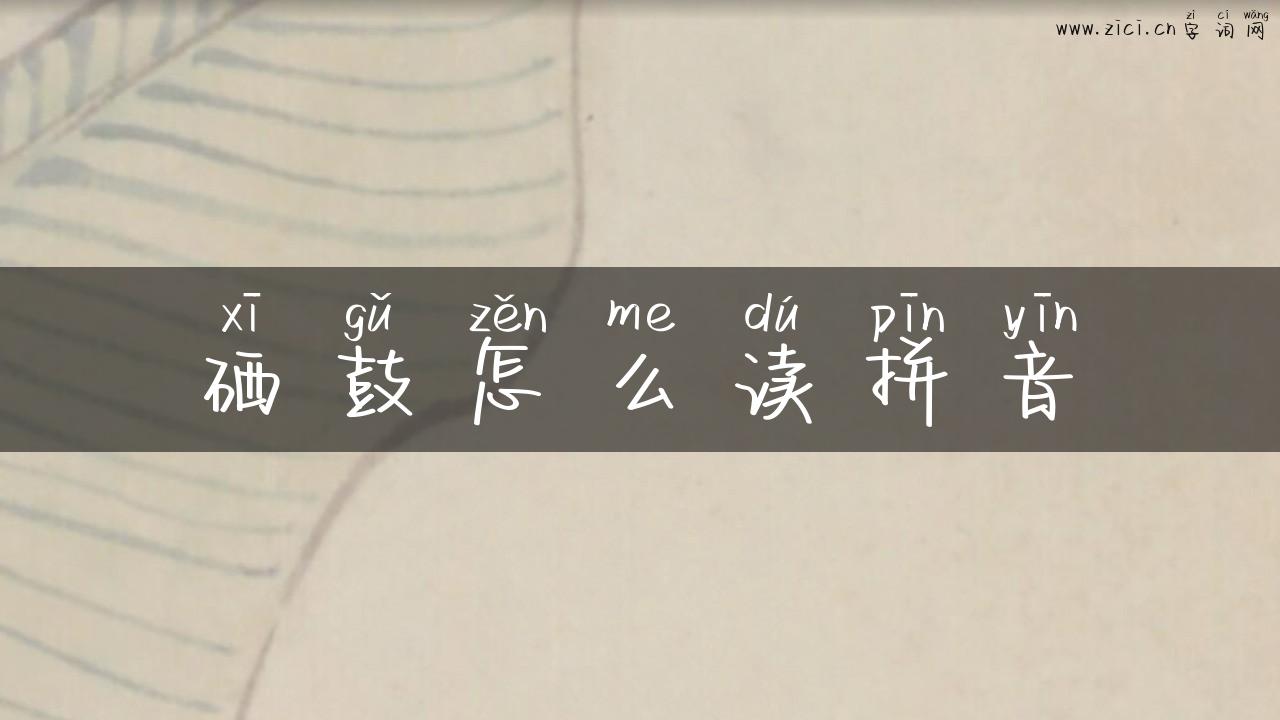 硒鼓怎么读拼音