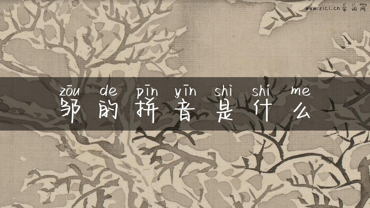 邹的拼音是什么