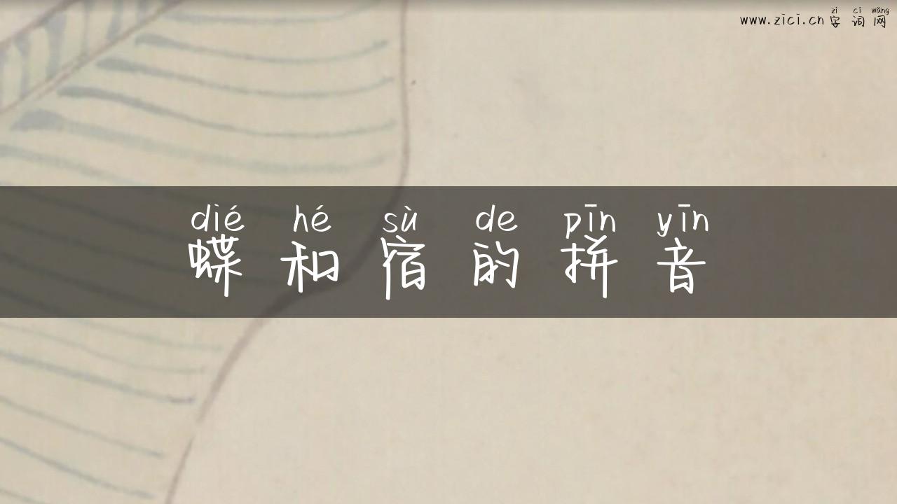 蝶和宿的拼音