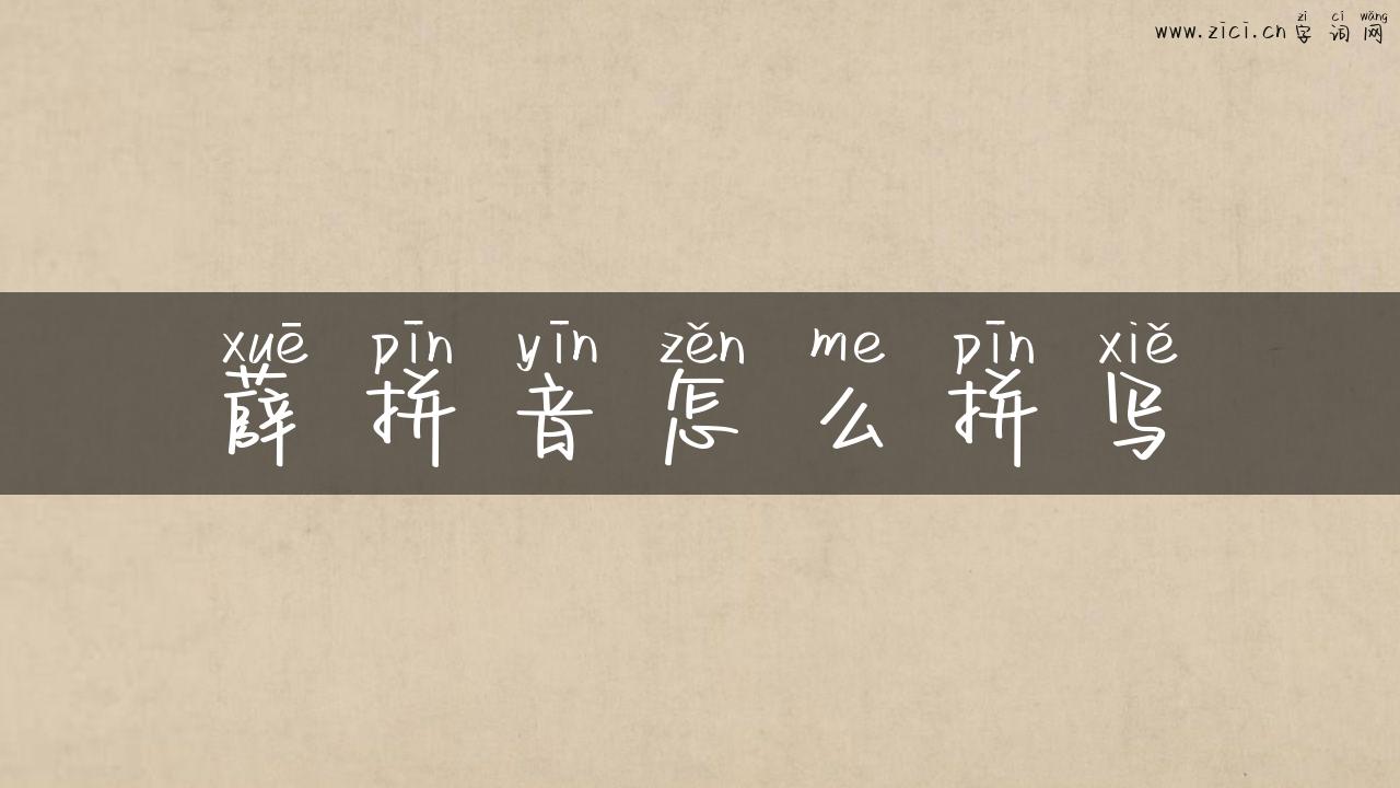 薛拼音怎么拼写
