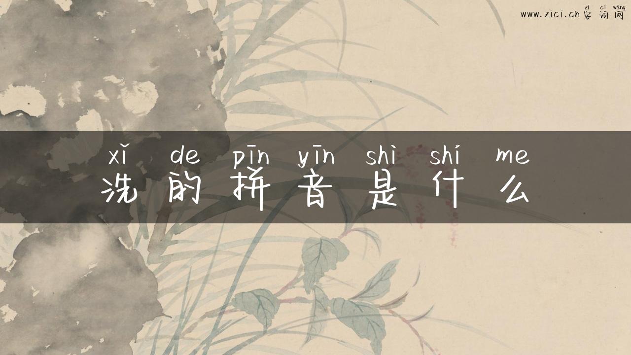 洗的拼音是什么