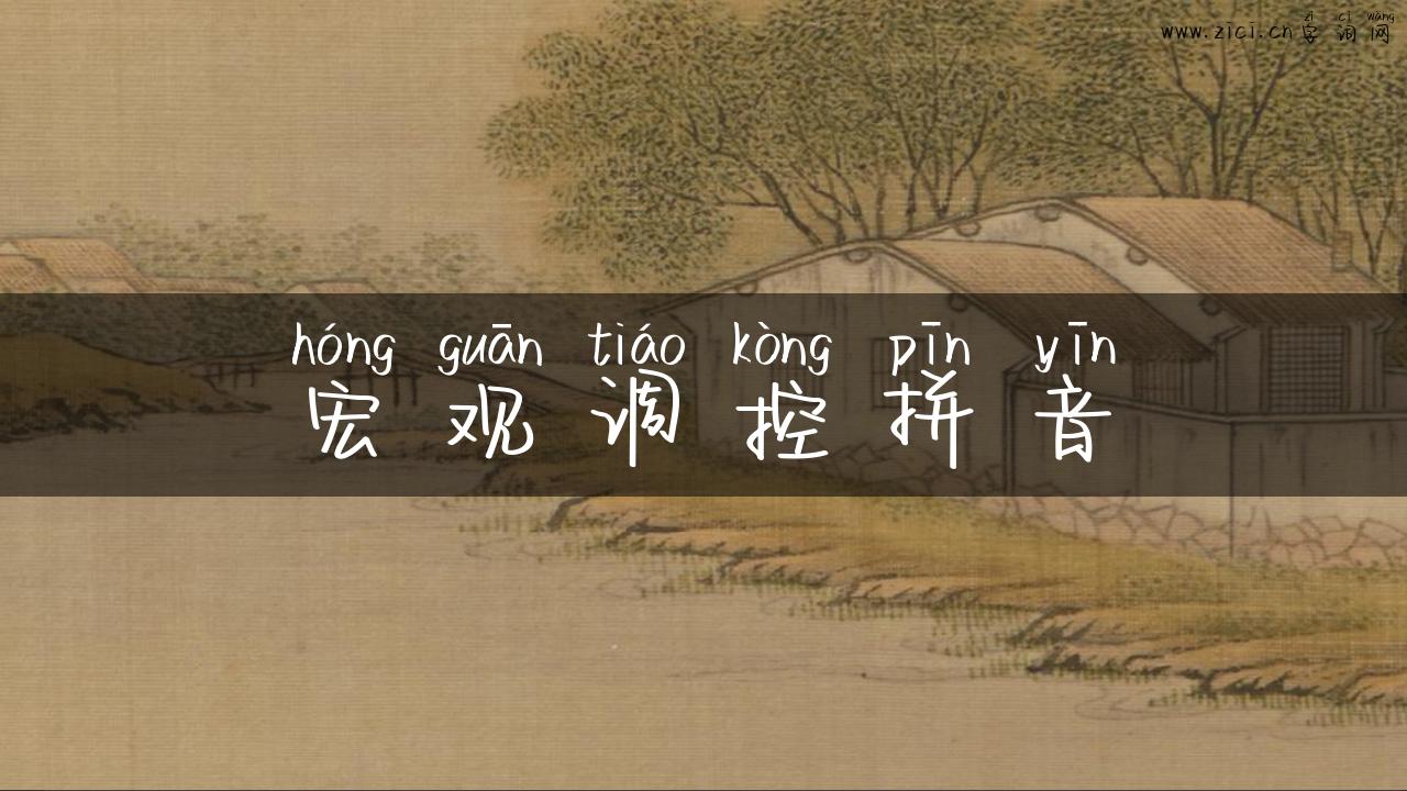 宏观调控拼音