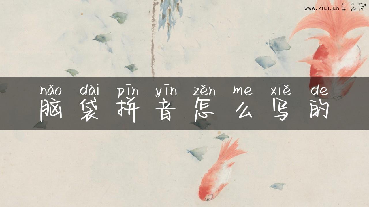 脑袋拼音怎么写的