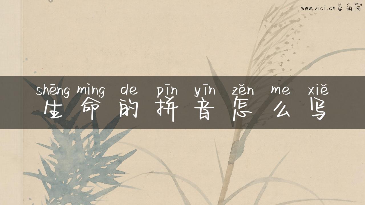 生命的拼音怎么写